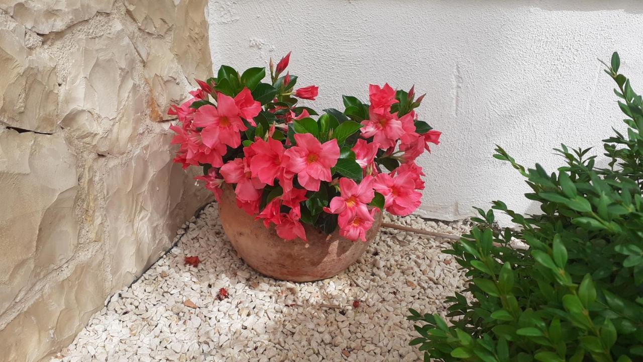 Apartman Nina Vodice Zewnętrze zdjęcie